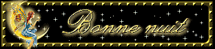 bonne nuit a tous